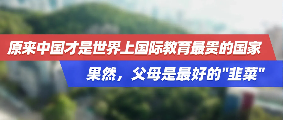 原来中国才是世界上国际教育最贵的国家，果然，父母是最好的"韭菜"