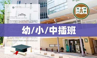 国内4年级申请国际学校，需要哪些条件？