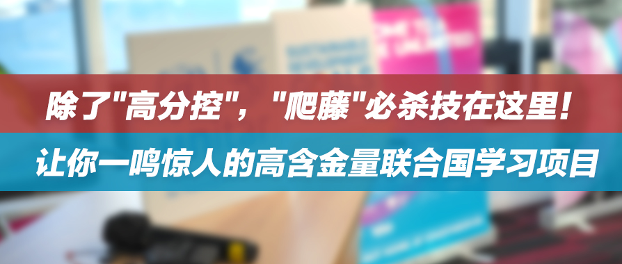 除了"高分控"，"爬藤"必杀技在这里！让你一鸣惊人的高含金量联合国学习项目