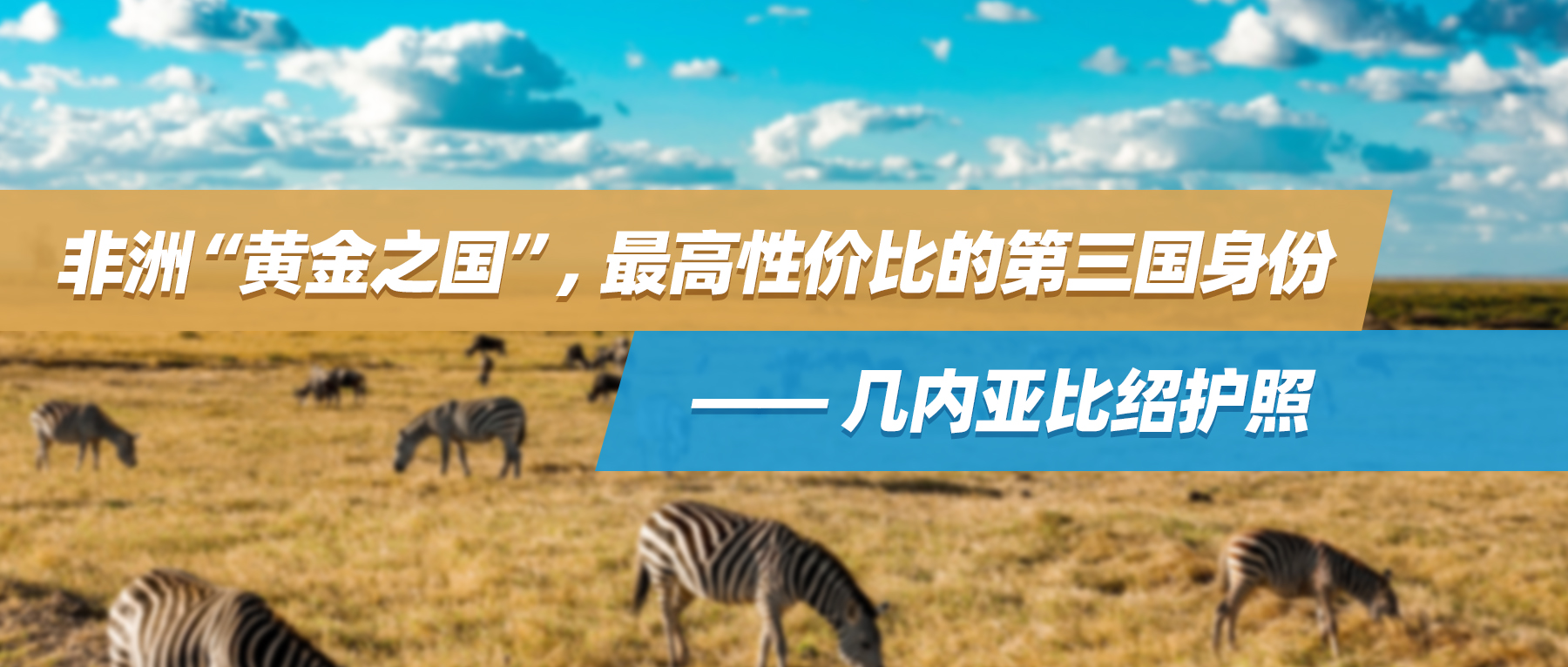 非洲“黄金之国”，最高性价比的第三国身份——几内亚比绍护照